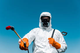 Emergency Pest Control Services in Del Rio, TX